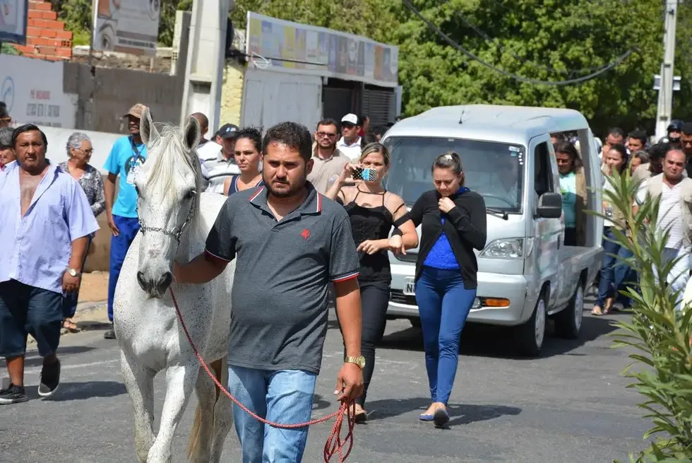 horse cries at funeral