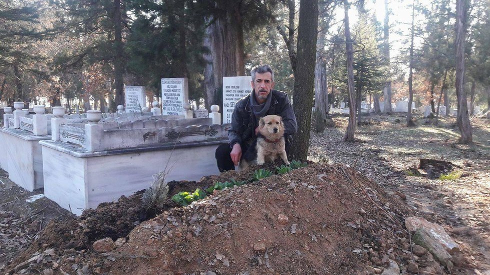dog visits grave