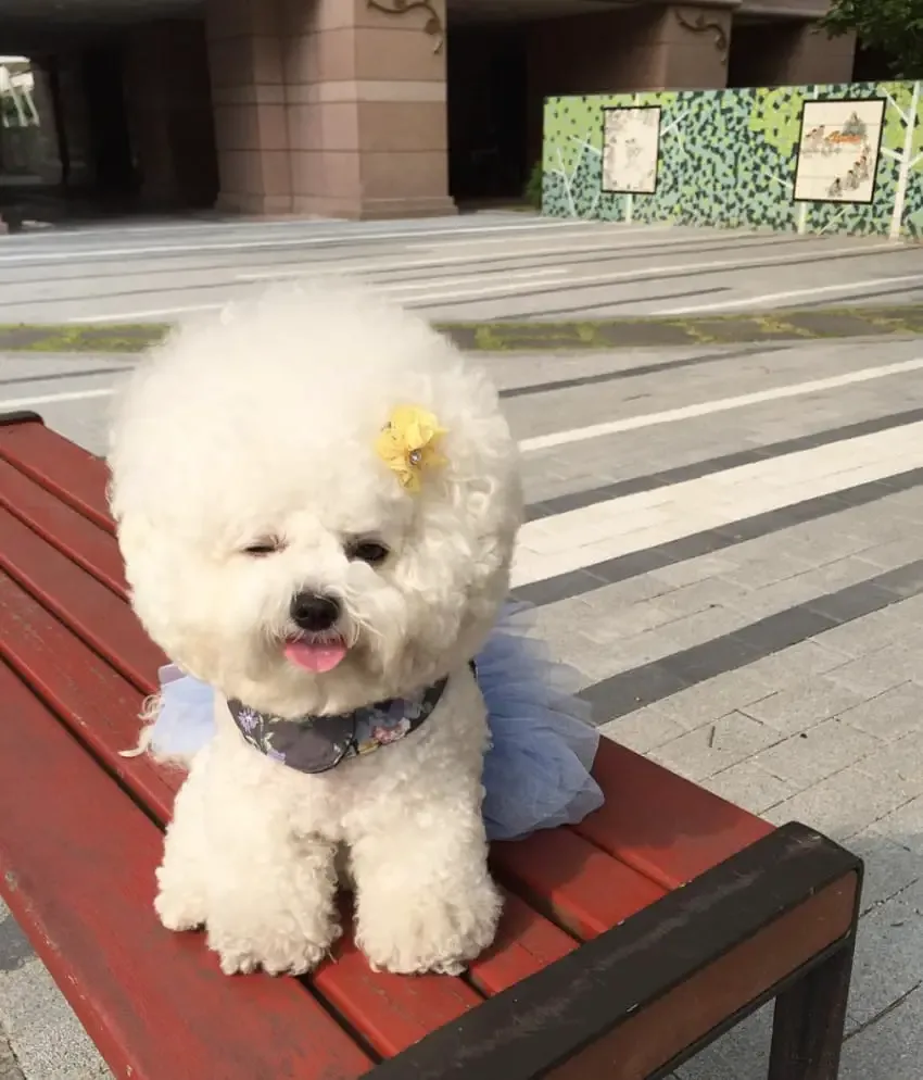 ball of cloud