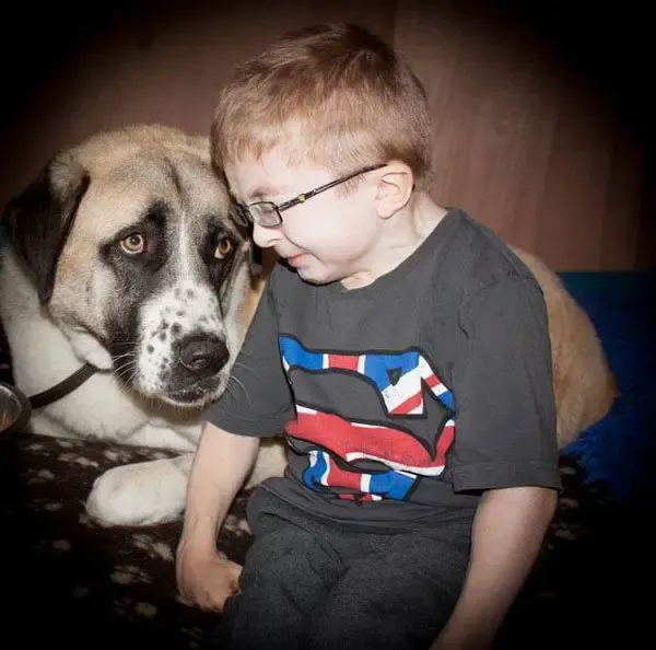 boy and his dog