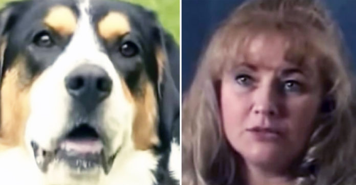 heroic-dog-takes-action