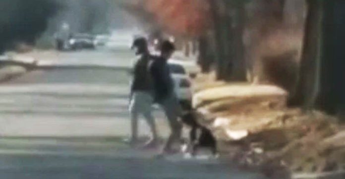 teens-kicking-beating-dog