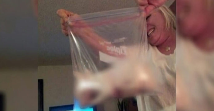 woman-son-ziplock-puppy