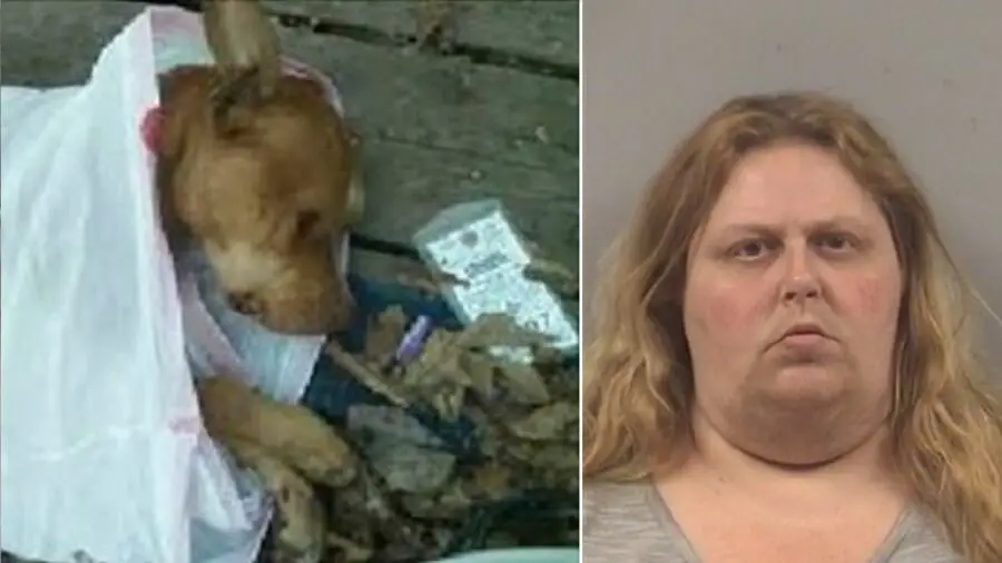 woman starved dog