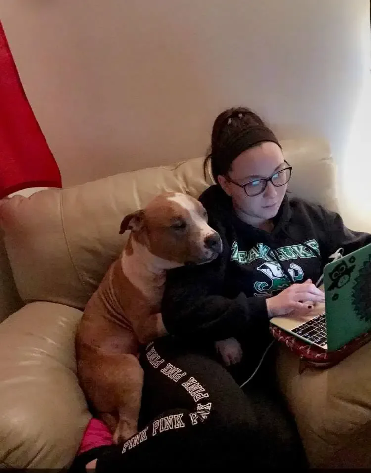 dog rescued from shelter