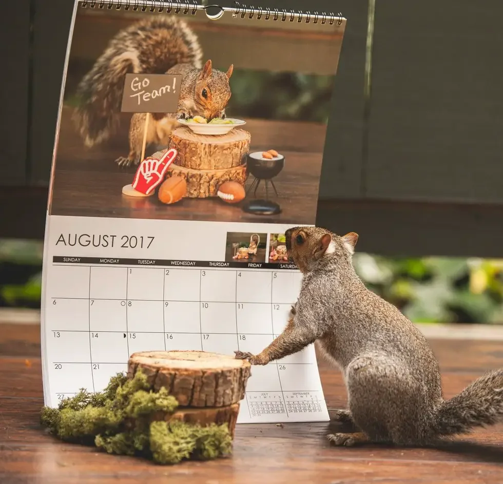 squirrel parties