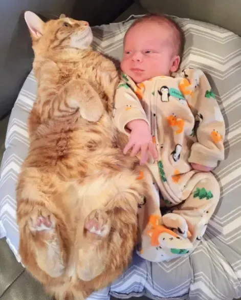 cat and sick baby