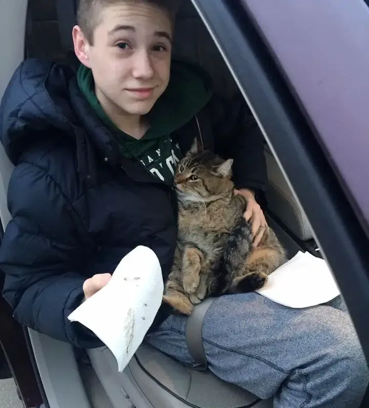 boy rescues cat