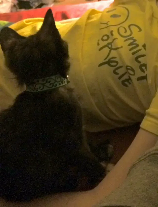 dying girl and cat
