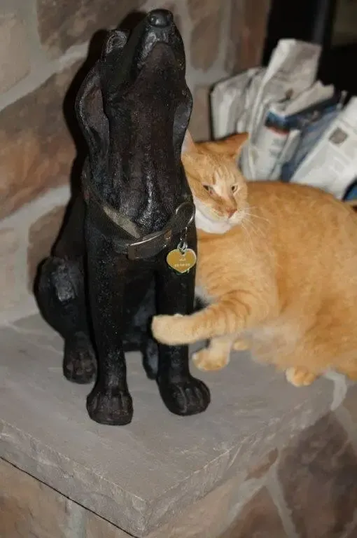 dog statue
