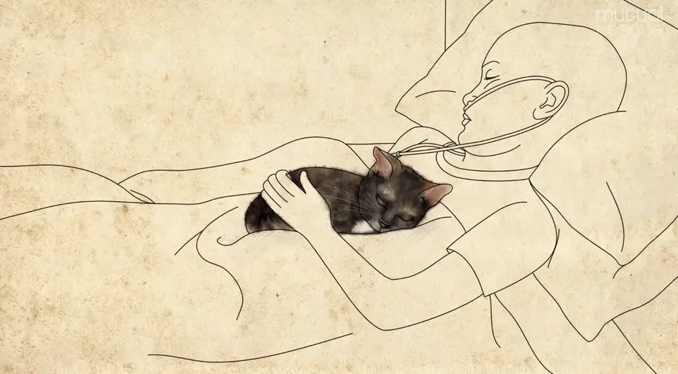 dying girl and cat