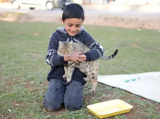 refugee and stray dog