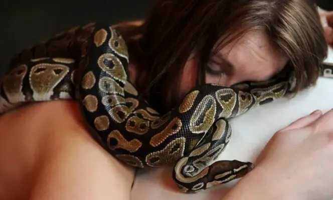 python and woman