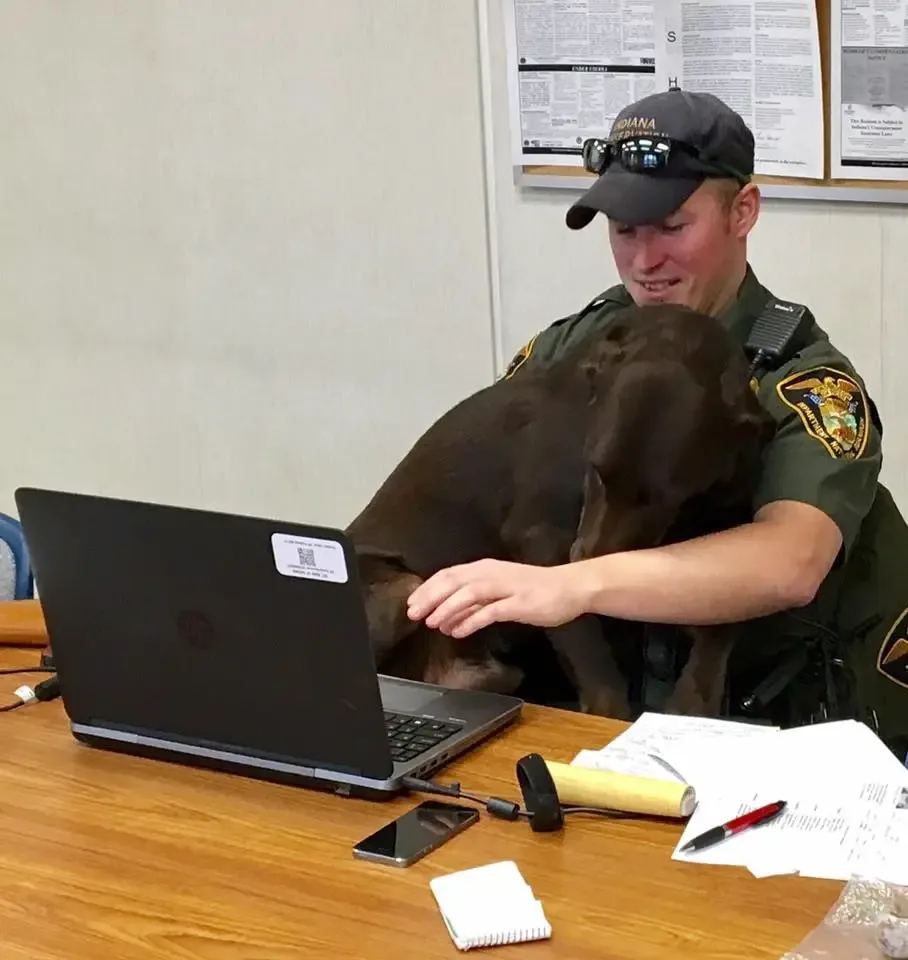 dog kisses soldier