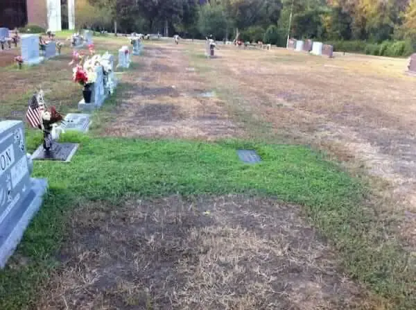 soldier's grave