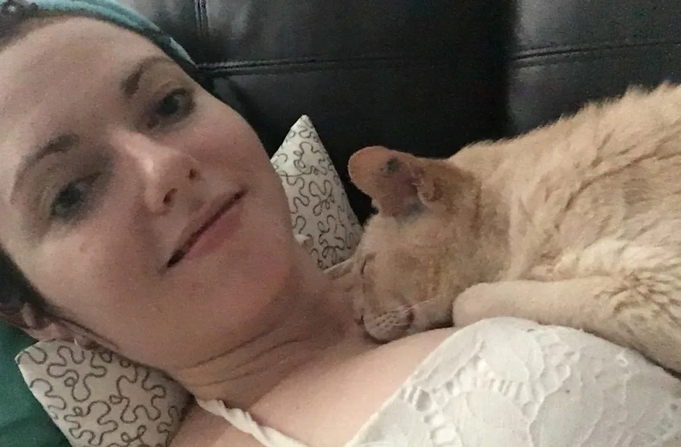 senior cat rescued