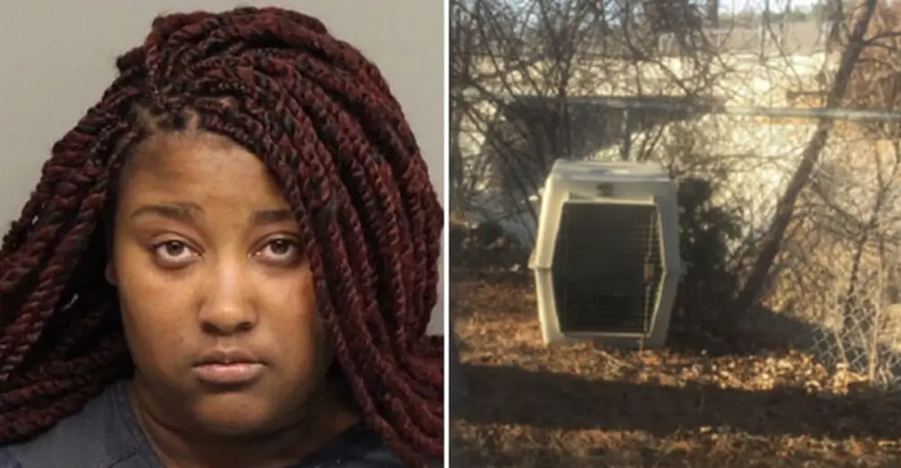 Dog That Died In Crate Owner Got Busy And To Feed For 3