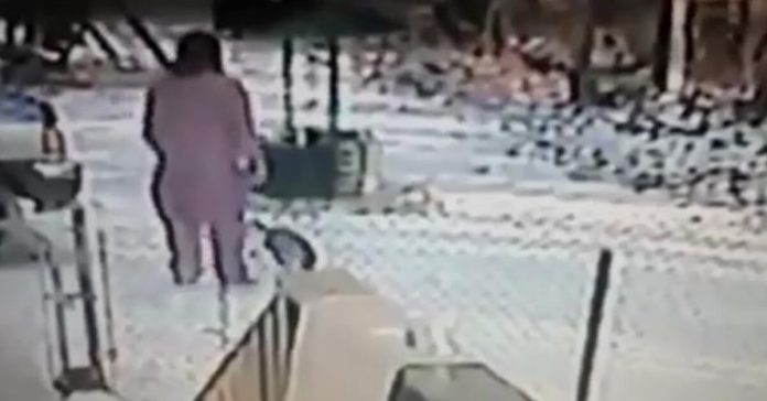 woman-kicks-snow-onto-cats-3