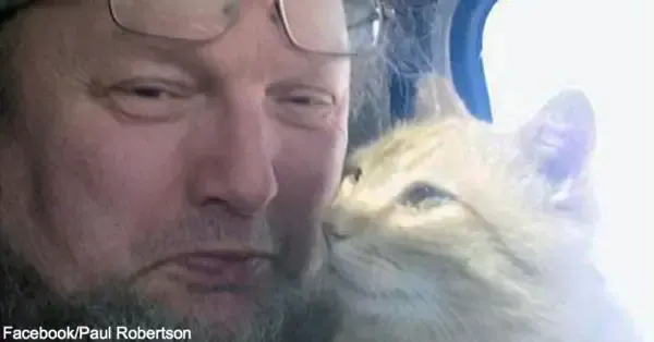 trucker finds cat