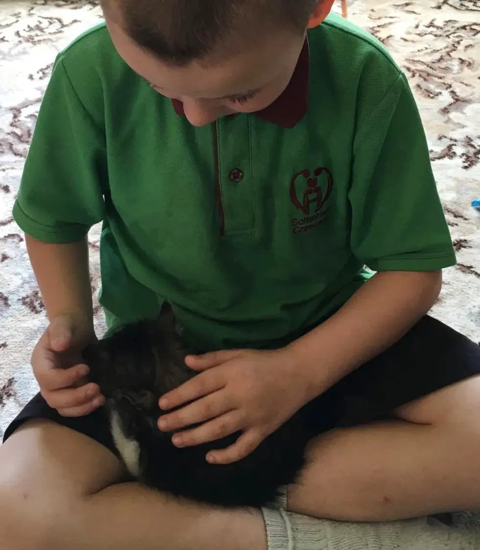 kitten and boy