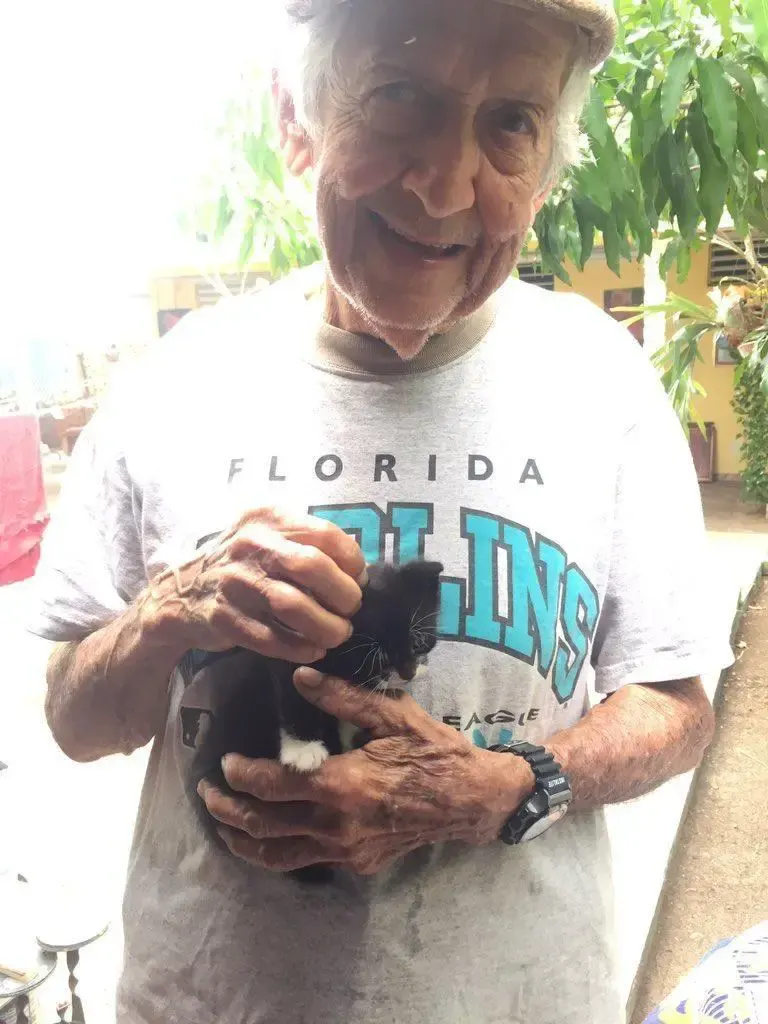 grandpa and kittens