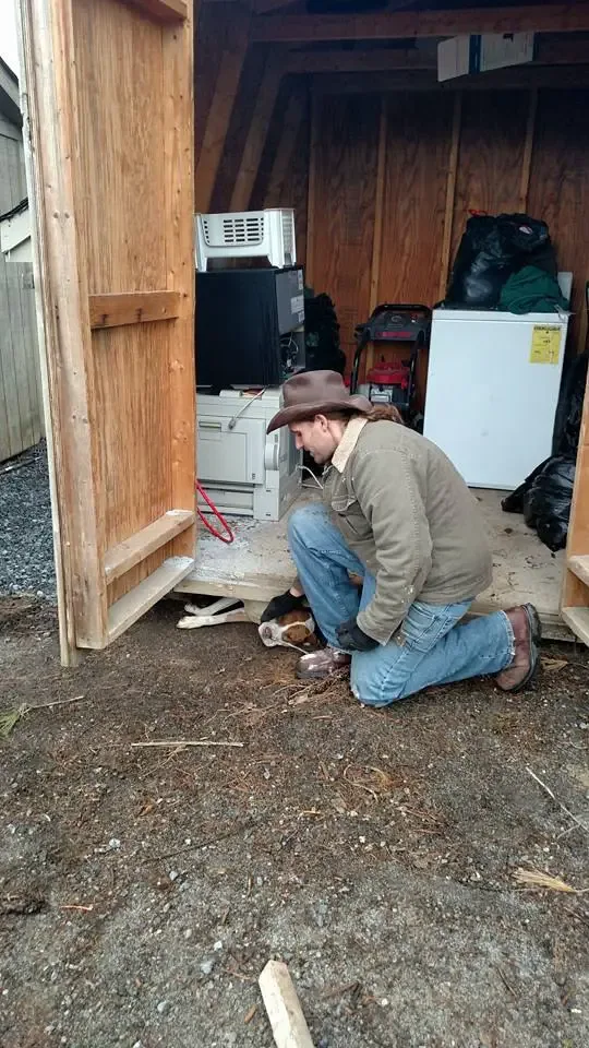 dog stuck under shed