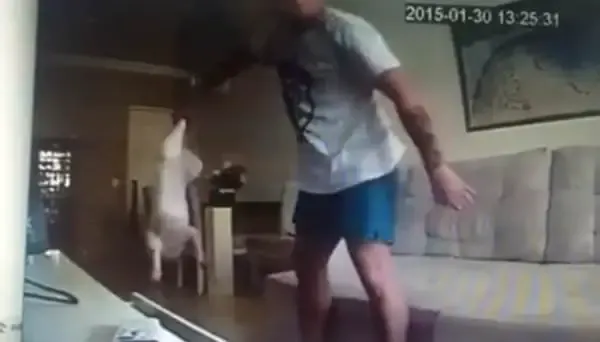 boyfriend abuses dog