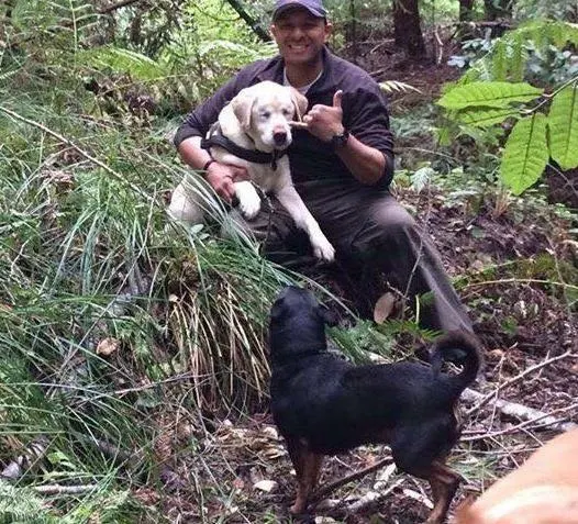 dog missing