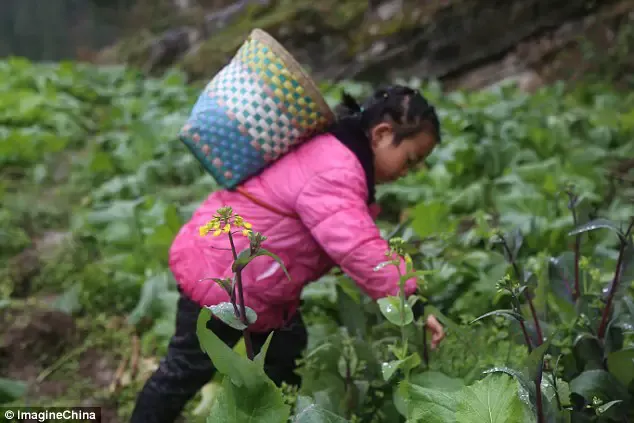 little girl sole carer