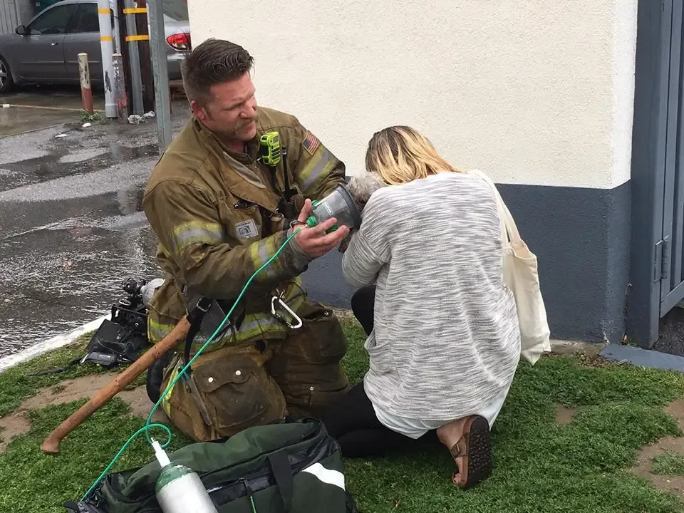 dog and firefighter