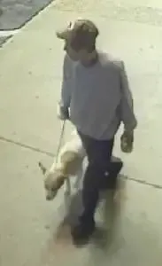 man stabs dog