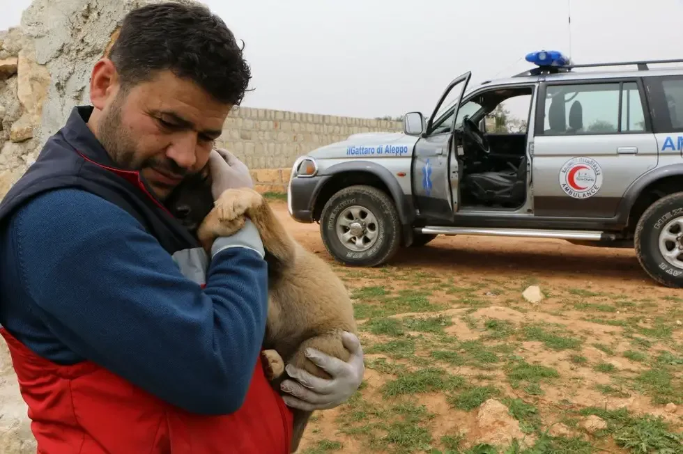 man rescues animals