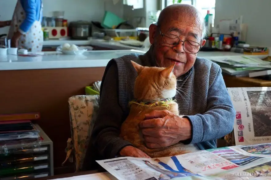 cat and grandpa