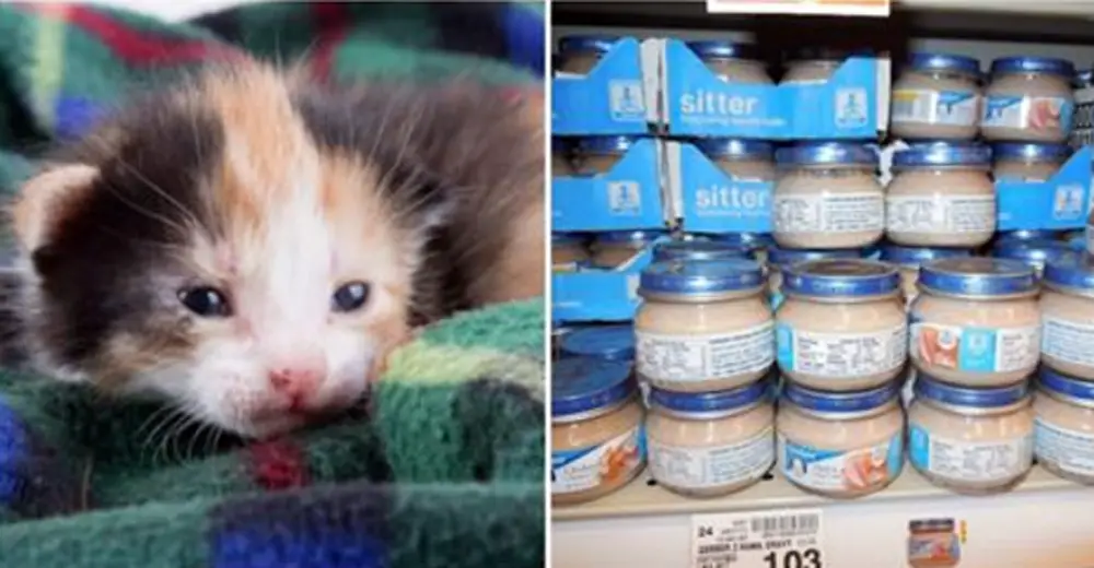 12 Things You Have In Your House That You Can Donate To