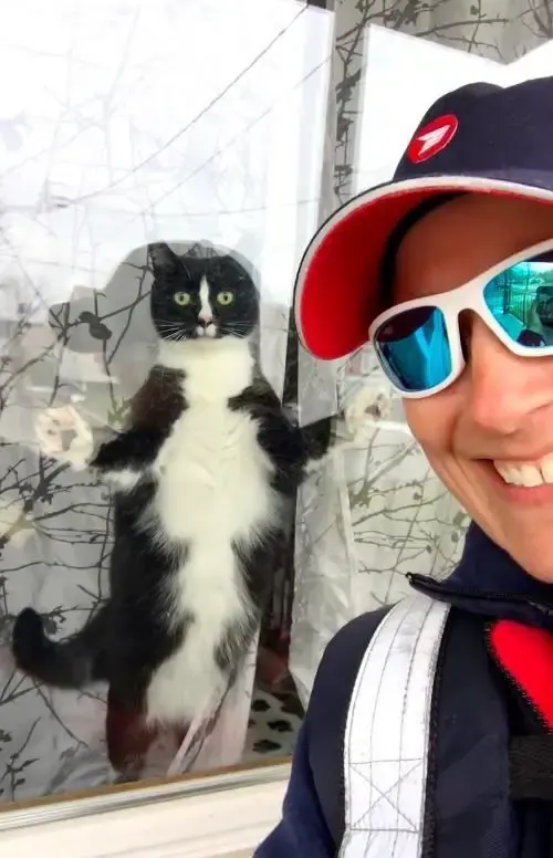 cat greets mail carrier