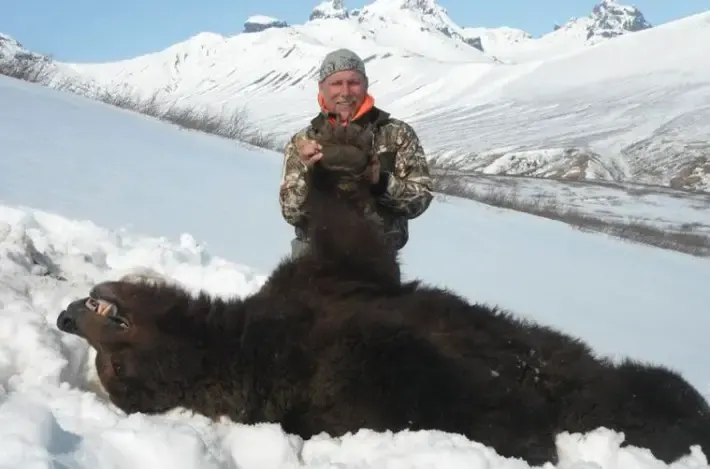 bear killing