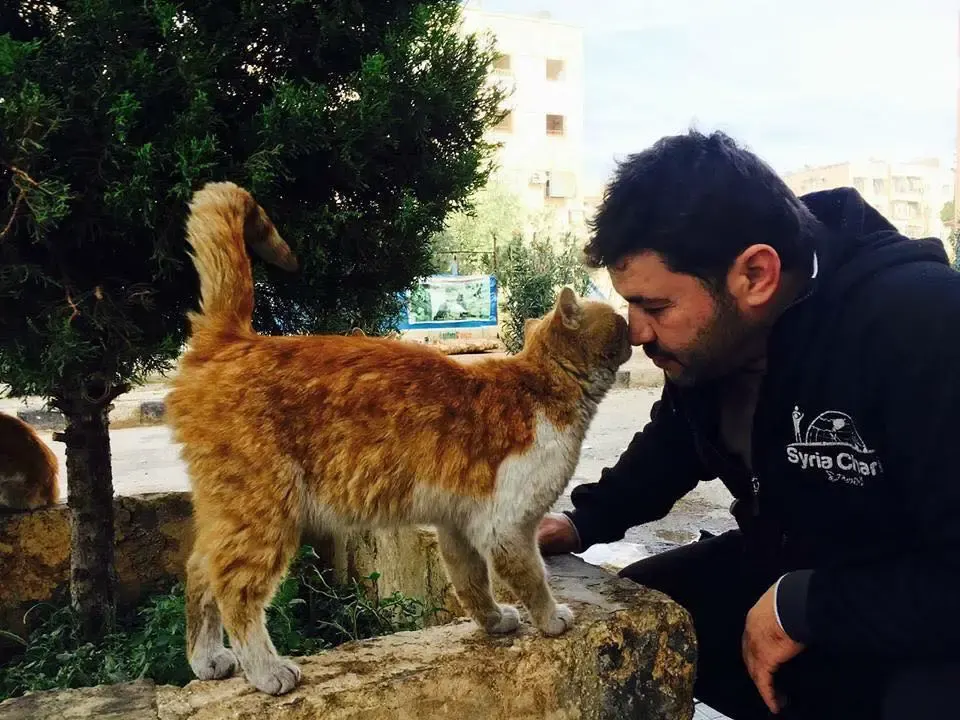 man rescues animals