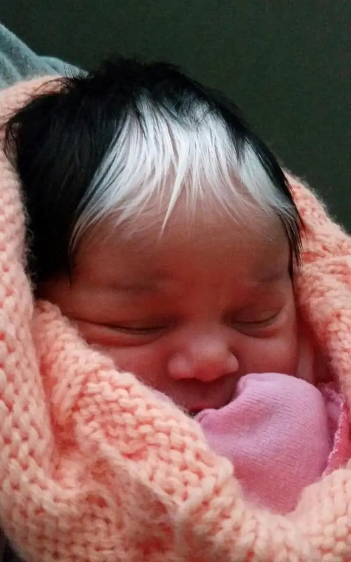 bambino con i capelli grigi