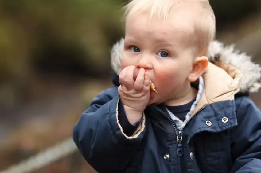 grape and young child