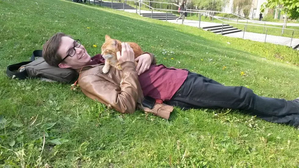 cat in school