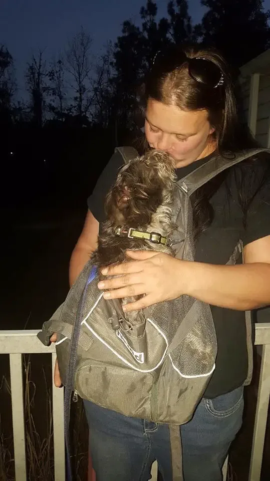 rescued dog