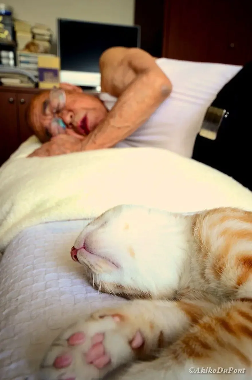 cat and grandpa