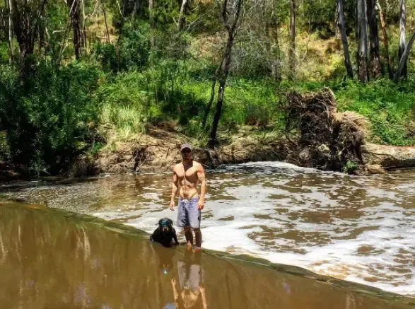 man rescues puppies