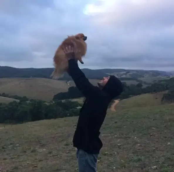 man rescues puppies