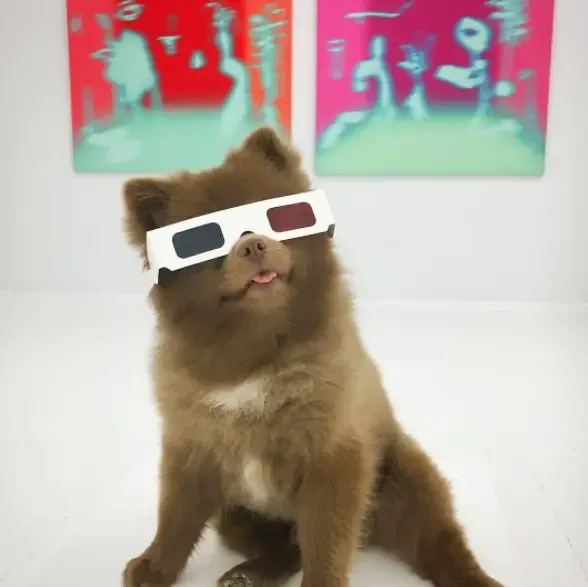 dog in art gallery