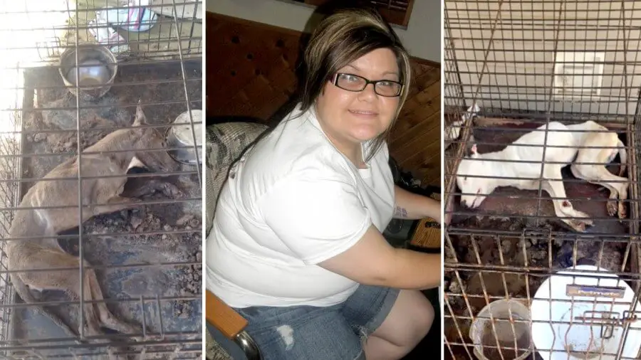 woman starves dogs