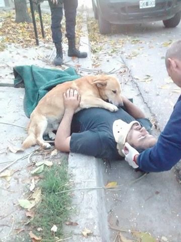 dog hugging dad