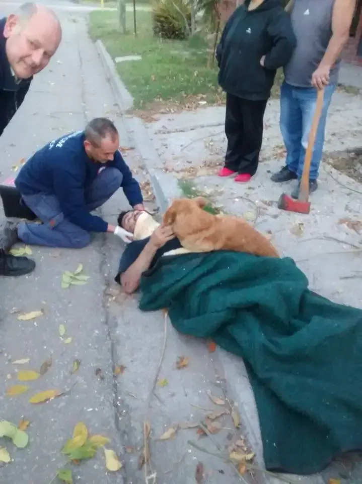 dog hugging dad