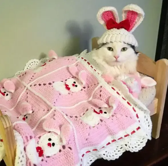 cat in doll bed