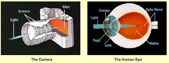 laser blindness